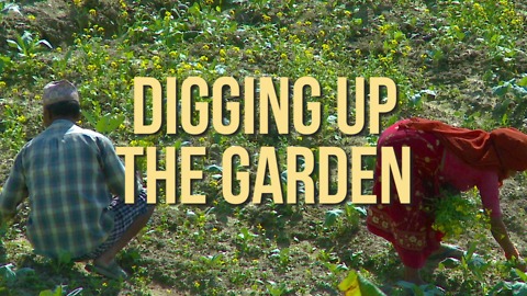 Digging Up The Garden