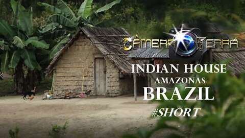 🌎 Casa de Índio No Amazonas (BRASIL) | Indian House In Amazonas #short |2021