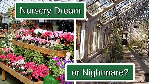 Don't Let Your Nursery Dream End as a Nightmare