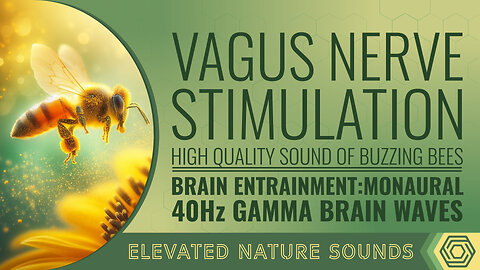 Vagus Nerve Stimulation MONAURAL 40Hz Gamma BWE Anxiety Hunger Depression Weight Gain Inflamation