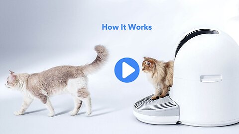 ChouBox | The Ultimate Automatic Cat Litter Box