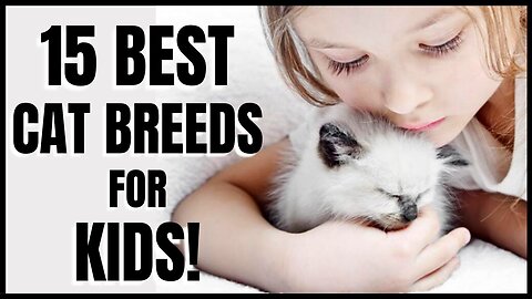 15 Best Cat Breeds for Kids