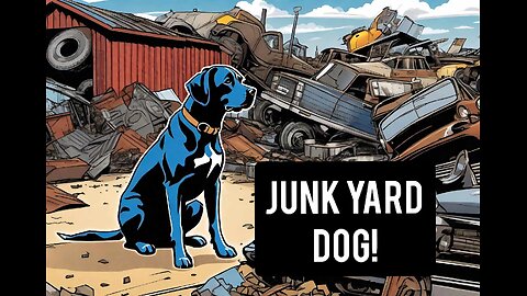 Junkyard Dog explains the Economic Situation, Trucking Industry, demographics and infrastructure