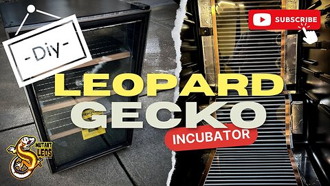 Leopard Gecko and Reptile Incubator DIY Build