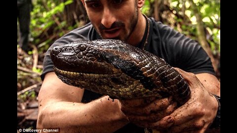 Snakes That Give Live Birth Like Mammals.