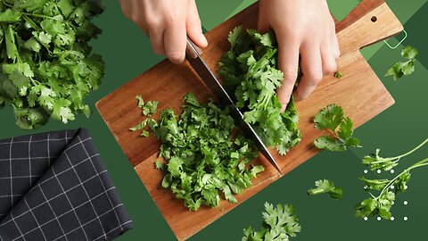 Homemade Coriander Leaves Fritters