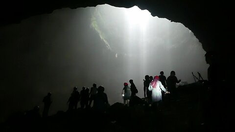 The Beauty of Paradise Light and Primeval Forest in the Bowels of the Earth Jomblang Cave