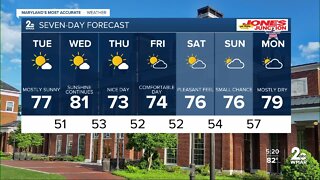 WMAR-2 News Ally Blake Monday weather