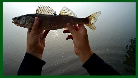 Susquehanna River Fishing Below the Conowingo Dam