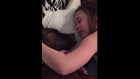 Little Girl Anna Serenades Laila The Foster Dog With Her Beautiful Voice