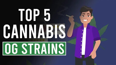 Top 5 O.G. Strains of Cannabis!