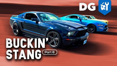 5.0 Coyote Swap Worth It? How Much & How Fast? | #BuckinStang [EP8]