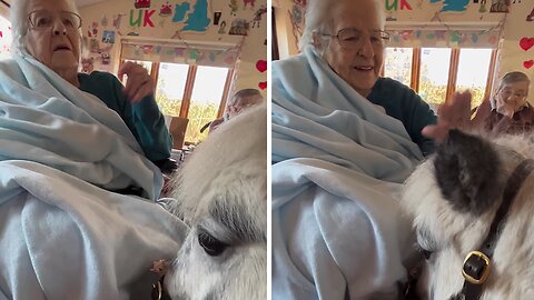 Grandma's reaction to meeting an adorable pony is beautiful