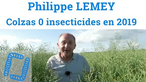 Philippe LEMEY - Semis direct de colza zéro insecticide/fongicide en 2019