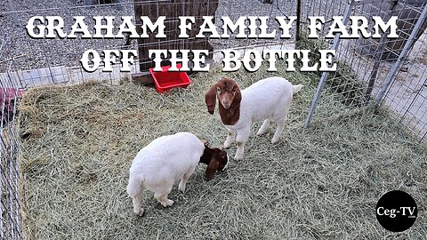 Graham Family Farm: Off the Bottle