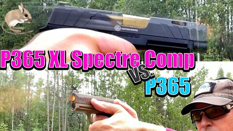 🐭 SIG Sauer P365 XL Spectre Comp VS P365: The Taming of the Micro 9mm