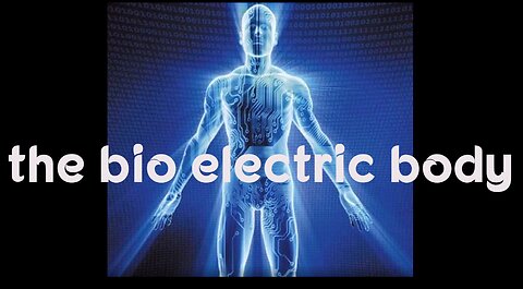 The Bio-Electric Body