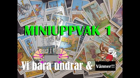 Miniuppvaknande 1