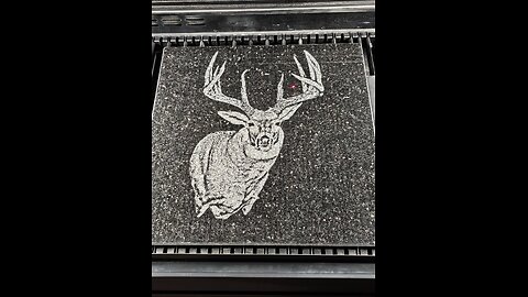 co2 laser engraving on granite an image of a mounted deer MilltownEngraving