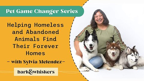 Helping Homeless and Abandoned Animals Find Their Forever Homes With Sylvia Melendez