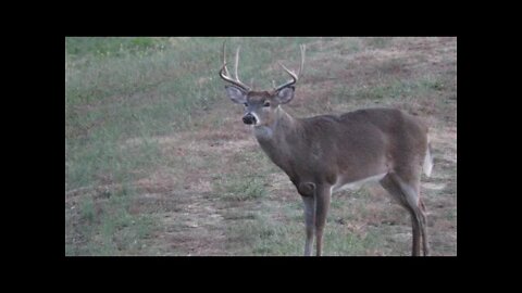 2021 Illinois Shotgun deer season #1 vlog! Kapper deer vlog-pass or shoot?