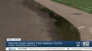 City responds to water leak two weeks later