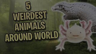 5 WEIRDEST ANIMALS AROUND THE WORLD