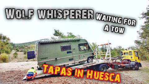 🇪🇸 Wolf whispering while waiting for the towing car | Tapas in #Huesca | VAN LIFE NORTH SPAIN