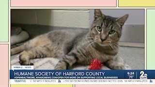 Humane Society of Harford County