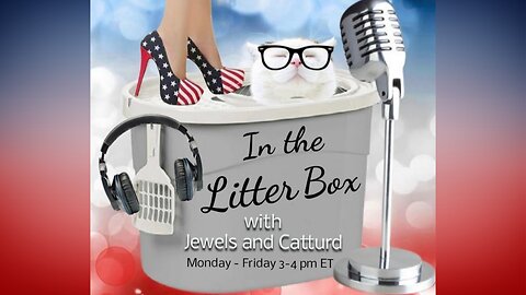 Episode # 500! - In the Litter Box w/ Jewels & Catturd - Ep. 500 - 2/1/2024