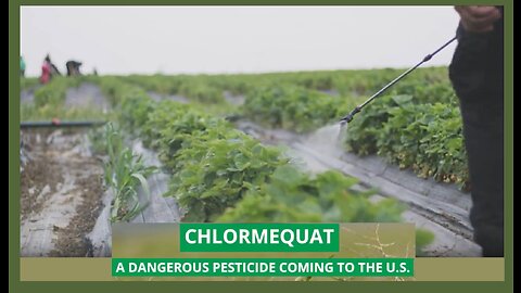 The EPA is set to Approve a Super Toxic Pesticide for our food supply 🚩🚩🚩