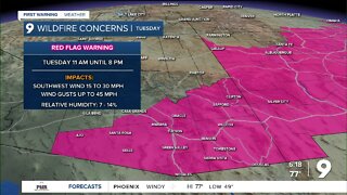 Strong wind will bring high wildfire danger
