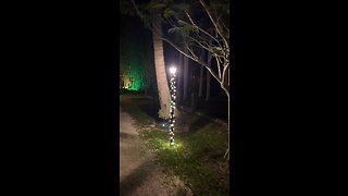 47TH Annual Holiday Nights At The Edison And Ford Winter Estates Livestream Clip 6