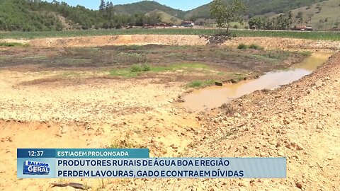 Estiagem Prolongada: Produtores Rurais de Água Boa e Região Perdem Lavouras, Gado e Contraem Dívidas