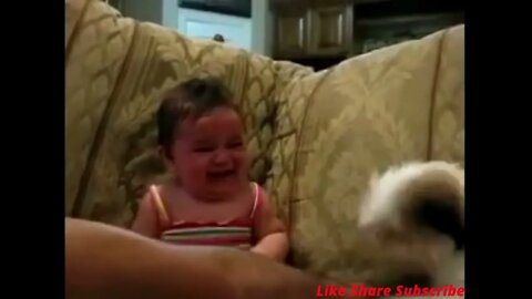 Comedy Playing Video of Baby & Cute Puppy #Shorts