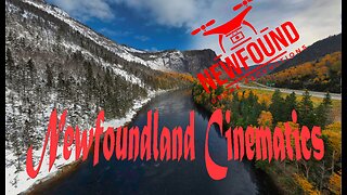 Newfoundland At Its Finest , Newfoundland Cinematics