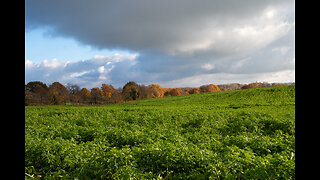 Autumn transitioning into Winter - November/December 2022