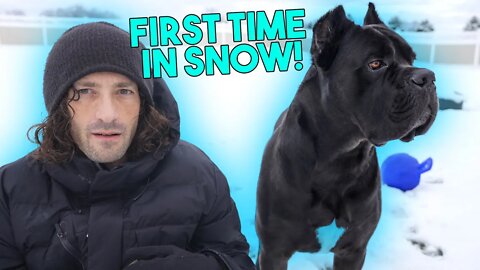 PUPPY Sees Snow For The FIRST TIME!