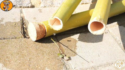 Hol dir deine Trinkflasche aus der Natur - DIY