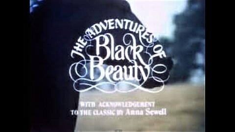 Black Beauty Compilation - Action/Adventure/Fantasy, 9 hours
