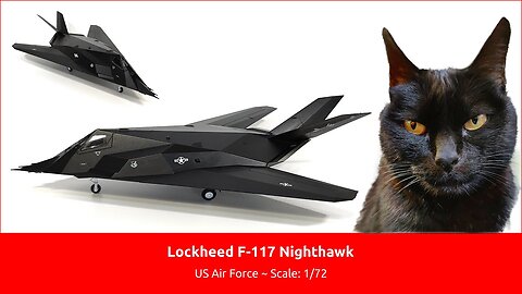 Lockheed F-117 Nighthawk