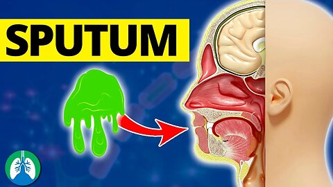 What is Sputum? *EXPLAINED* 🫁