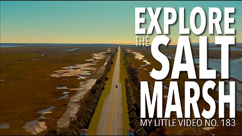 MY LITTLE VIDEO NO. 183--Exploring the Salt Marsh