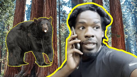 GETTING STRANDED IN THE CALIFORNIA REDWOODS!