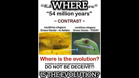 Where is the Evolution?