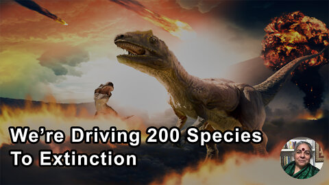 We're Driving 200 Species To Extinction Per Day - Vandana Shiva, PhD - Interview