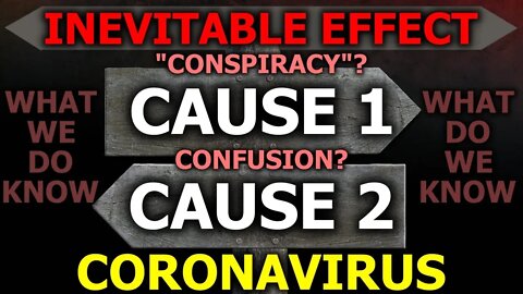 Coronavirus CONfusion: What's REALLY Going On For SURE? Inevitable Effect, Bigger Agenda?