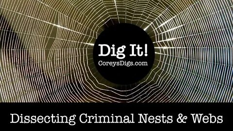 Dissecting Criminal Nests & Webs