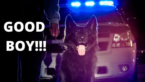 Police K9 climbs construction vehicle when he finds someone! | Learn about K9 job too!