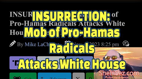 INSURRECTION: Large Mob of Pro-Hamas Radicals Attacks White House -SheinSez 343